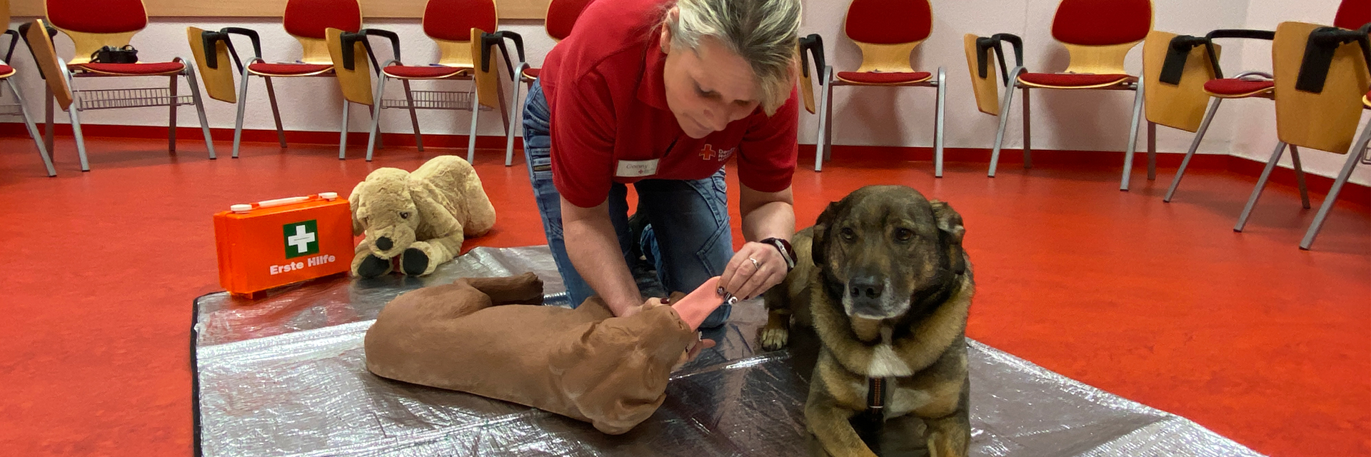 DRK Ausbilderin zeigt das Kontrollieren des Mundraumes am Hundedummy. Schäferhundmischling liegt daneben.