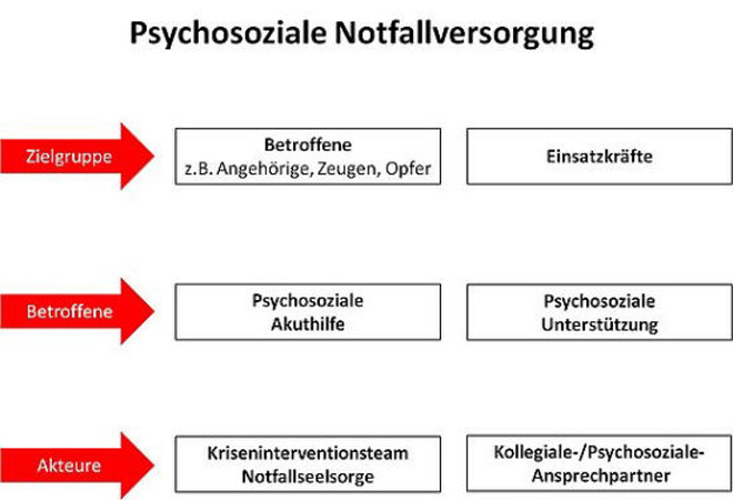 Schaubild PSNV