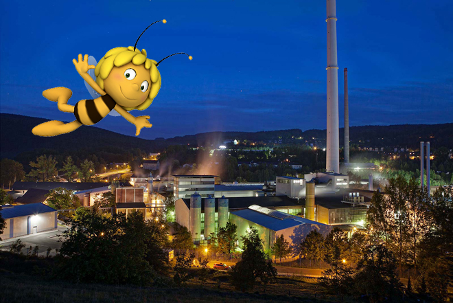 Unser Bienenprojekt
