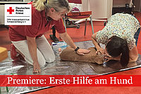 Kursteilnehmerin beim Üben der beatmung am Hundedummy. Ausbilderin sitzt daneben und beobachtet die Umsetzung.