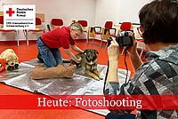 Frau am rechten Bildrand richtet Kamera auf DRK Ausbilderin. Diese demonstriert an einem Schäferhundmischling Erste-Hilfe-Maßnahmen. Auf der Übungsmatte liegt ein Hundedummy zum Trainieren der HLW am Hund.