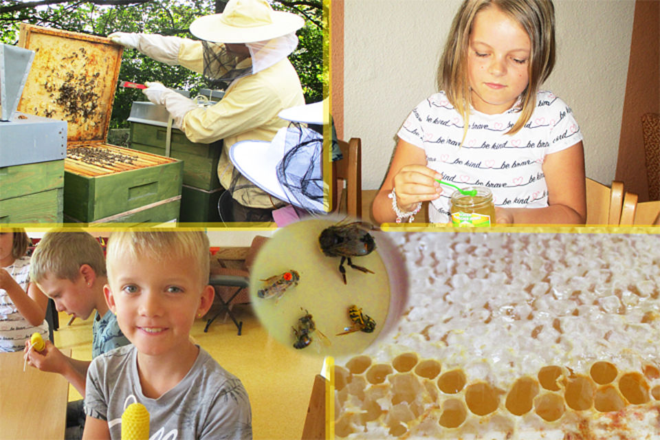 Fotocollage zum Bienenprojekt mit Imker in Schutzkleidung, Kind beim Honig kosten, Bienenwaben