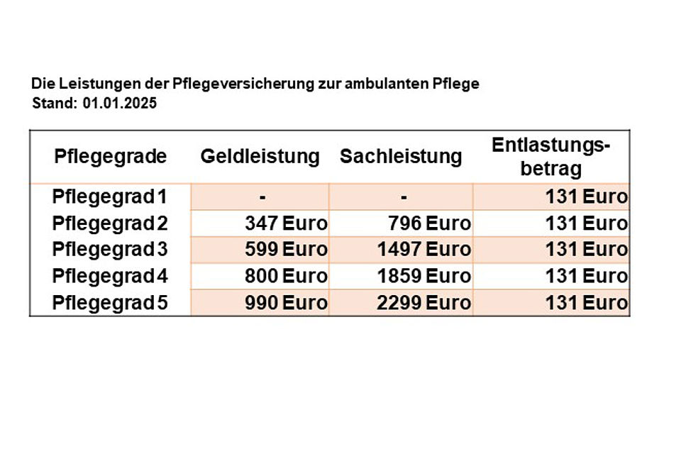 Übersicht der Leistungen der Pflegeversicherung für die ambulante Pflege